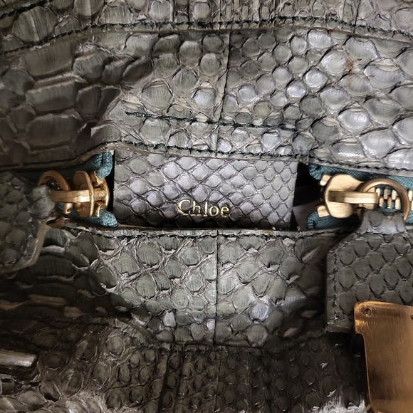 Authentic Rare Chloe Python square bag - Picture 8 of 14